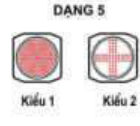 Dạng đèn 5
